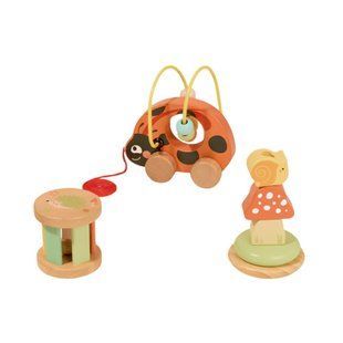 Подарунковий бокс "Жук сонечко" Tookytoy TP563 фото