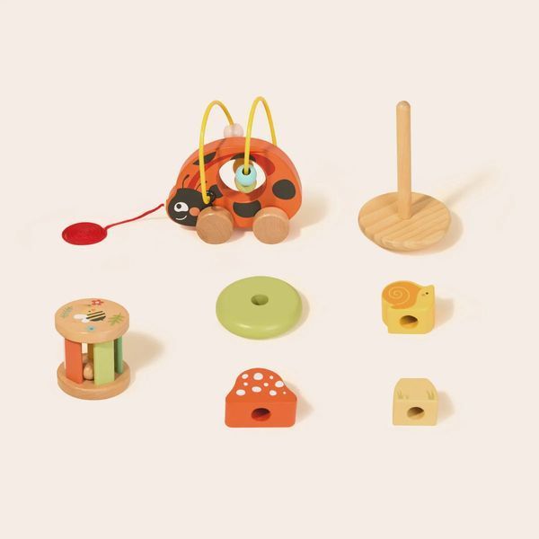 Подарунковий бокс "Жук сонечко" Tookytoy TP563 фото