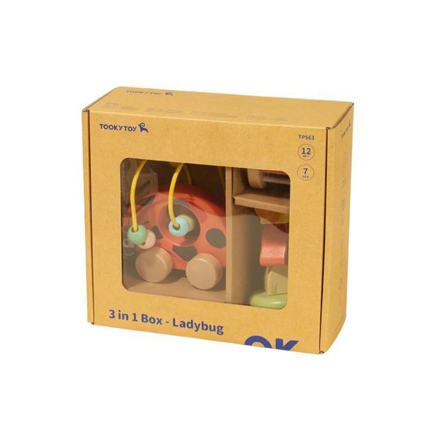 Подарунковий бокс "Жук сонечко" Tookytoy TP563 фото