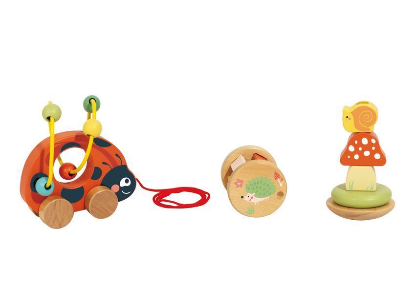 Подарунковий бокс "Жук сонечко" Tookytoy TP563 фото