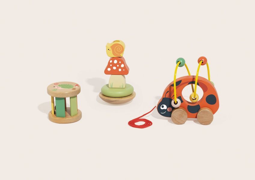 Подарунковий бокс "Жук сонечко" Tookytoy TP563 фото